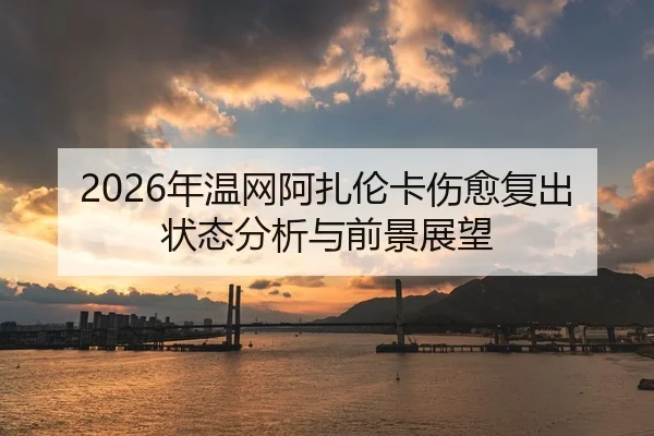 nian-wen-wang-a-zha-lun-ka-shang-yu-fu-chu-zhuang-tai-fen-xi-yu-qian-jing-zhan-wang-1-265.jpg
