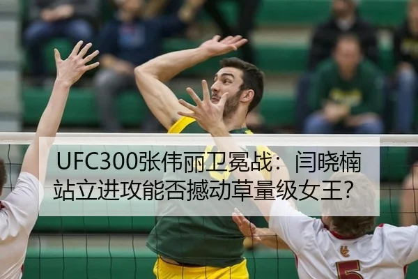zhang-wei-li-wei-mian-zhan-yan-xiao-nan-zhan-li-jin-gong-neng-fou-han-dong-cao-liang-ji-nv-wang-3-148.jpg