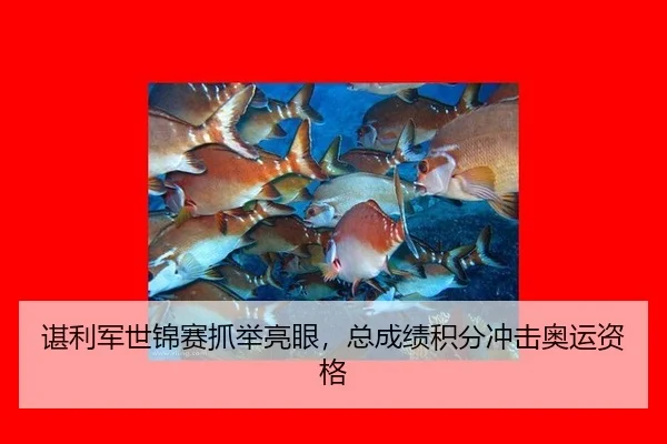 chen-li-jun-shi-jin-sai-zhua-ju-liang-yan-zong-cheng-ji-ji-fen-chong-ji-ao-yun-zi-ge-3-202.jpg