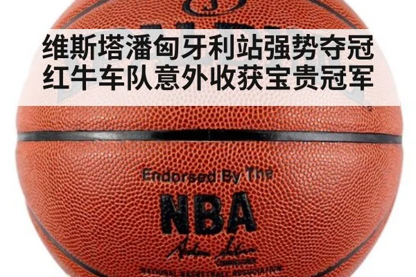 维斯塔潘匈牙利站强势夺冠红牛车队意外收获宝贵冠军